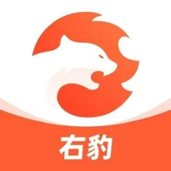 右豹